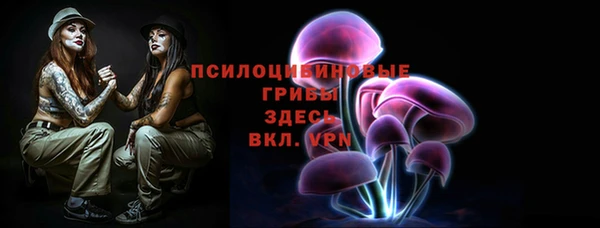 соль ск Белокуриха