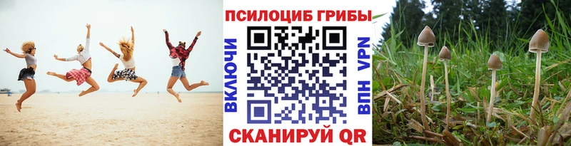Галлюциногенные грибы мухоморы  Чекалин 